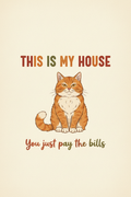 This Is My House funny cat poster