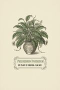 My Plant Is Thriving I Am Not funny botanical poster